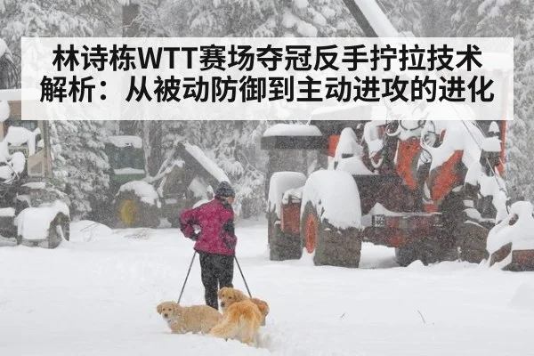林诗栋WTT赛场夺冠反手拧拉技术解析:从被动防御到主动进攻的进化